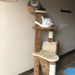 日本老太体内䠵精品
